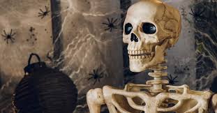 The 1982 movie poltergeistused real skeletons as - tymoff