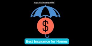 Best Insurance for Homes