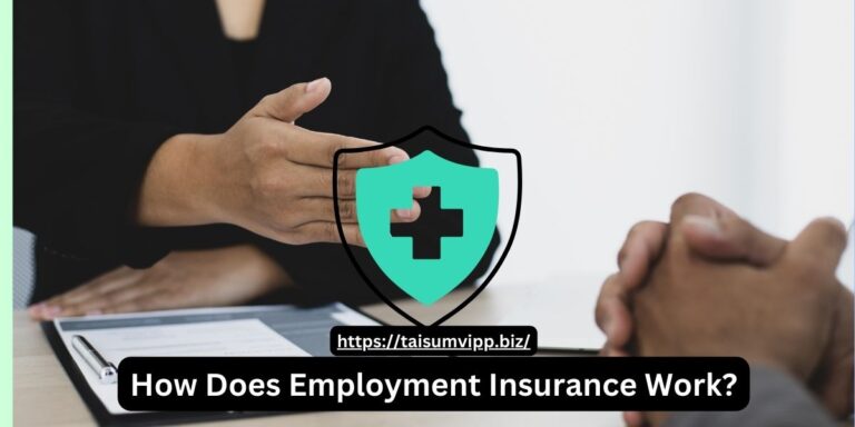 How Does Employment Insurance Work?