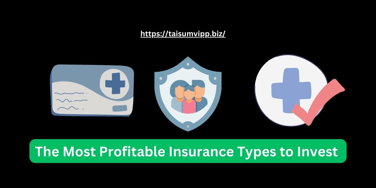 The Most Profitable Insurance Types to Invest In