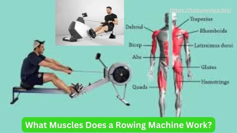 What Muscles Does a Rowing Machine Work